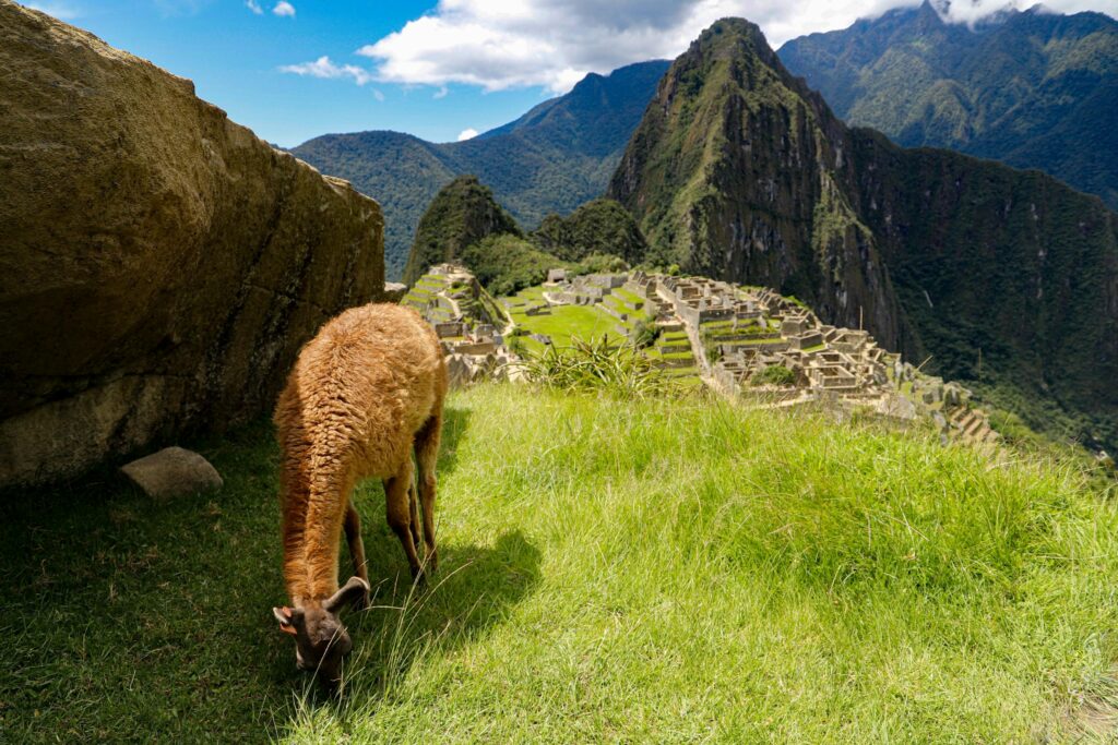 Essential Machu Picchu Visitor Tips: What I Wish I Knew Before Going 4 Machu Picchu Travel Tips