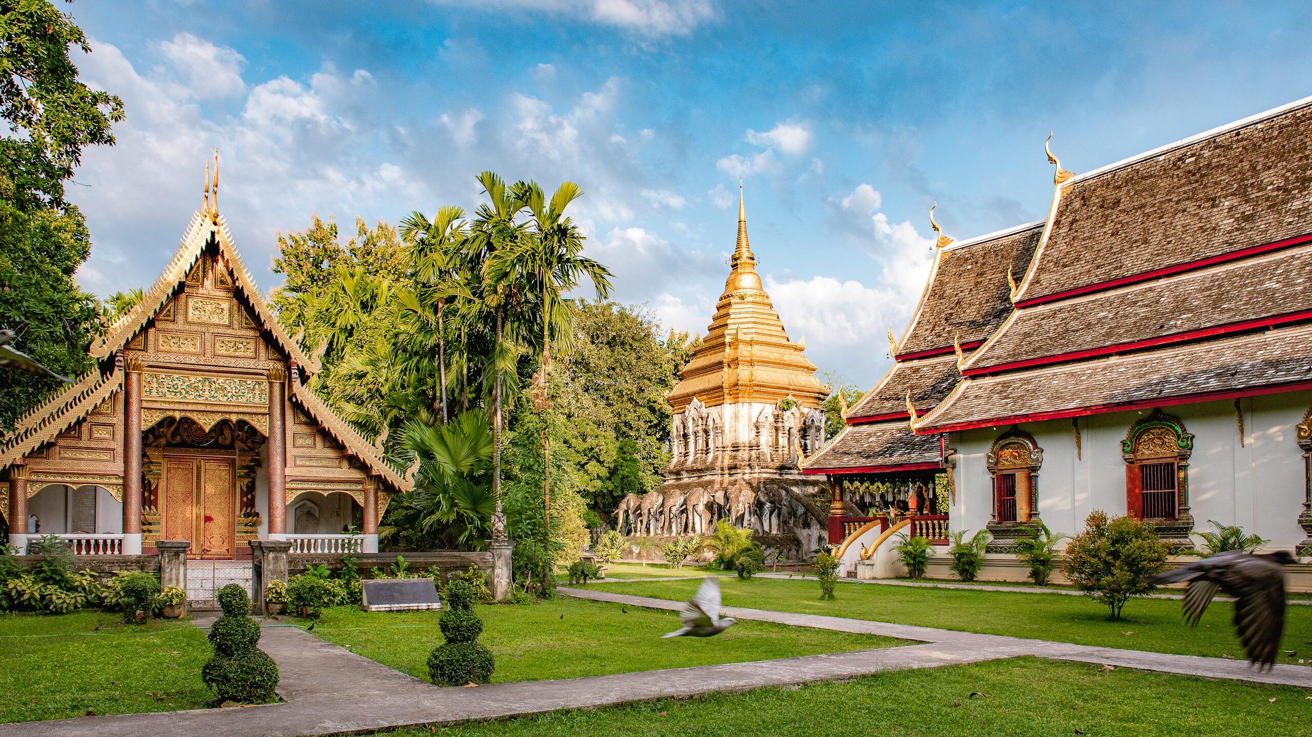 Best Solo Travel Destinations: Ultimate Guide 2025 8 Solo Thailand